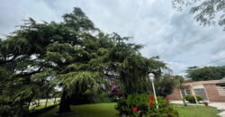 Quinta EN VENTA sobre ruta 188 Tramo de los Zapadores