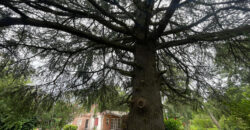 Quinta EN VENTA sobre ruta 188 Tramo de los Zapadores