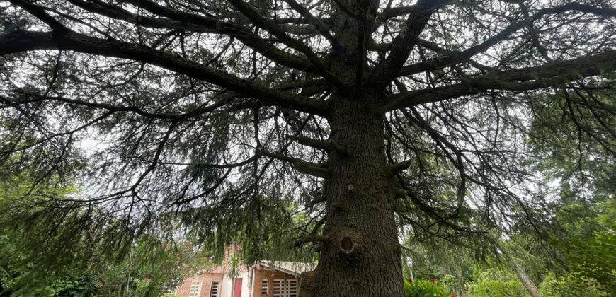 Quinta EN VENTA sobre ruta 188 Tramo de los Zapadores