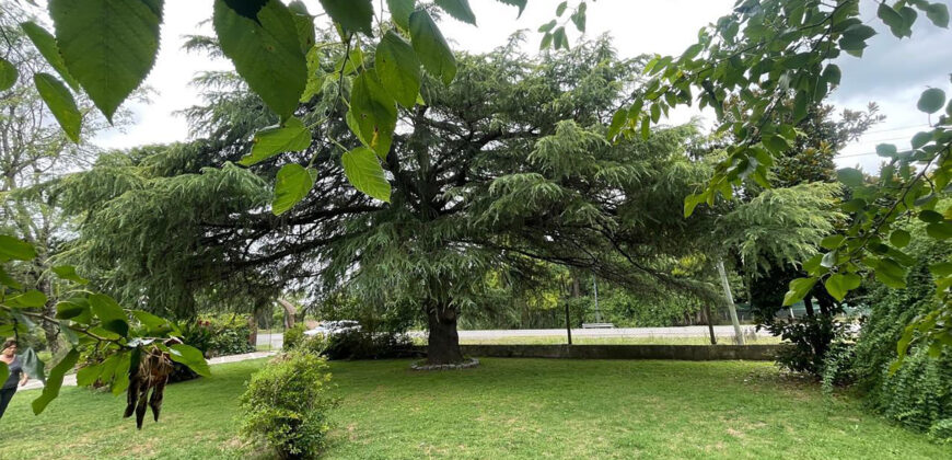 Quinta EN VENTA sobre ruta 188 Tramo de los Zapadores