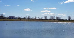 Lote EN VENTA Club de Campo Chacras de Pergamino