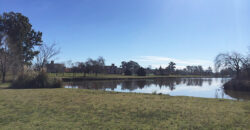 Lotes EN VENTA Club de Campo Club del Lago