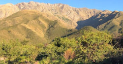 Casa en ALQUILER TEMPORARIO