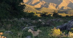 Casa en ALQUILER TEMPORARIO
