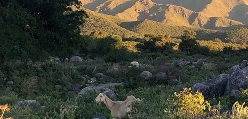 Casa en ALQUILER TEMPORARIO