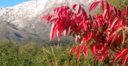 Casa en ALQUILER TEMPORARIO