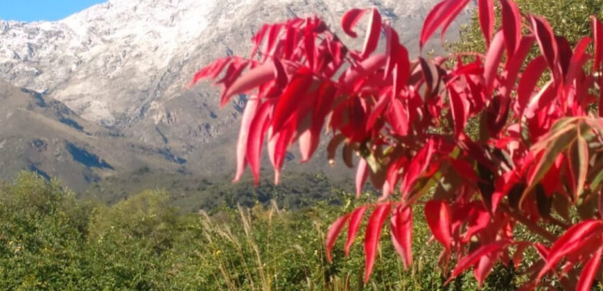 Casa en ALQUILER TEMPORARIO