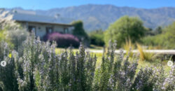 Casa en ALQUILER TEMPORARIO