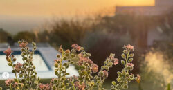 Casa en ALQUILER TEMPORARIO