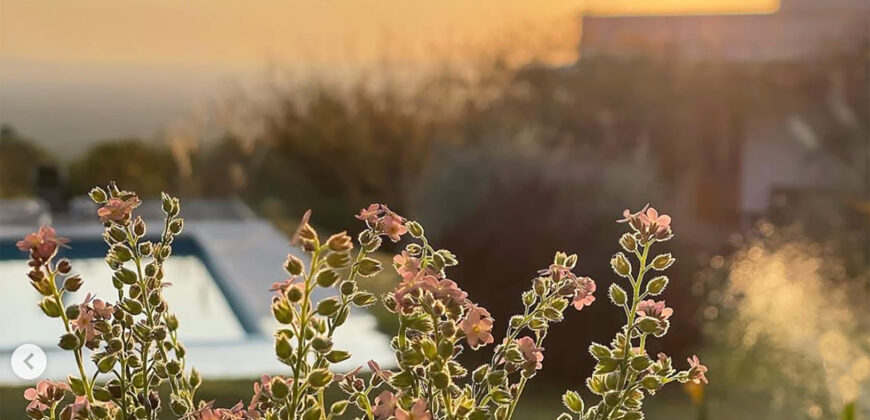 Casa en ALQUILER TEMPORARIO