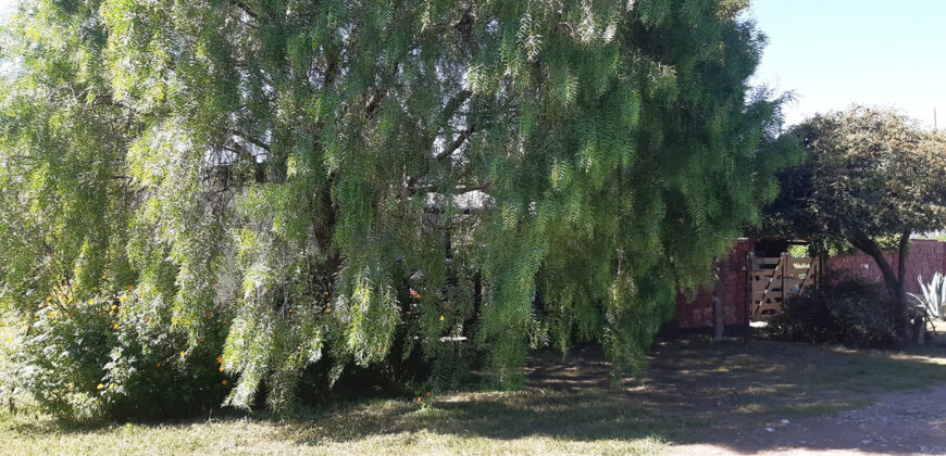 Casas EN VENTA en Santa Monica, Cordoba