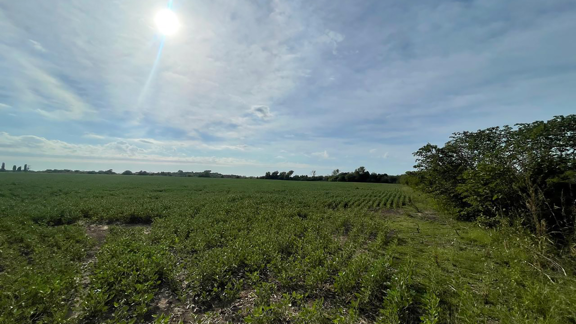 Campo EN VENTA en Francisco Ayerza