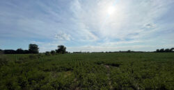 Campo EN VENTA en Francisco Ayerza