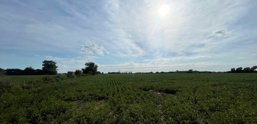 Campo EN VENTA en Francisco Ayerza