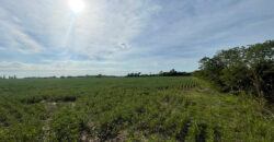 Campo EN VENTA en Francisco Ayerza