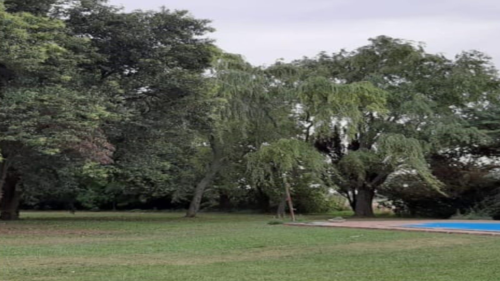 Campo EN VENTA